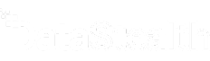 DataStealth Logo White Crop