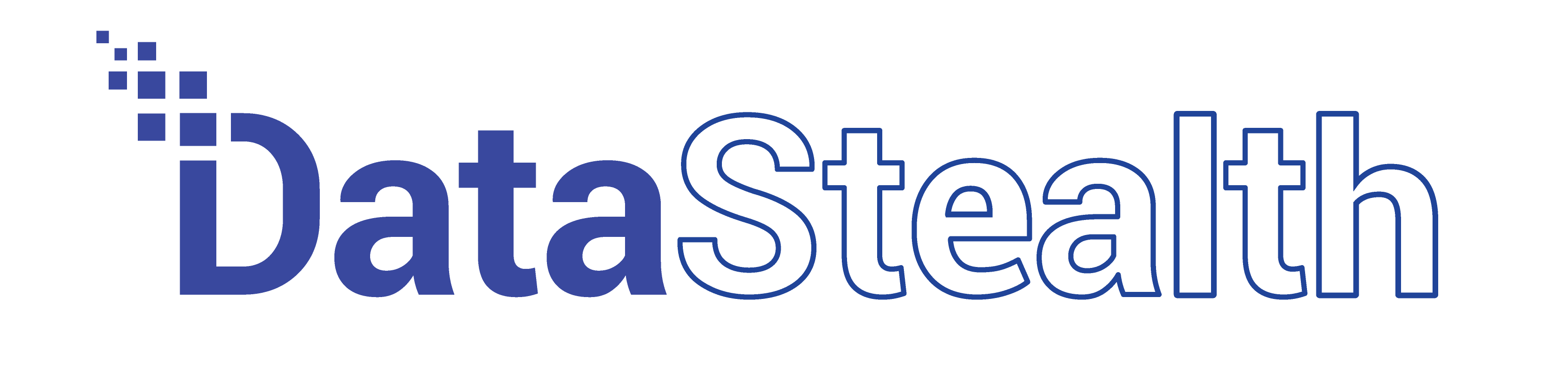 DataStealth Logo Blue